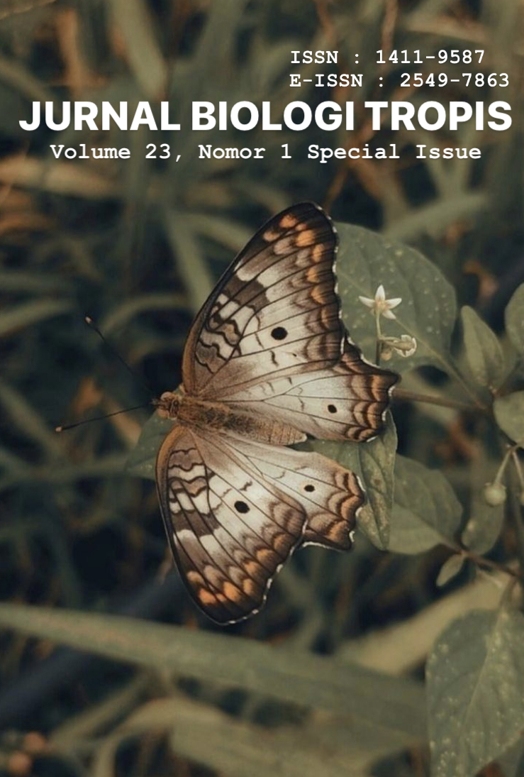 					View Vol. 23 No. 1 (2023): Special Issue
				